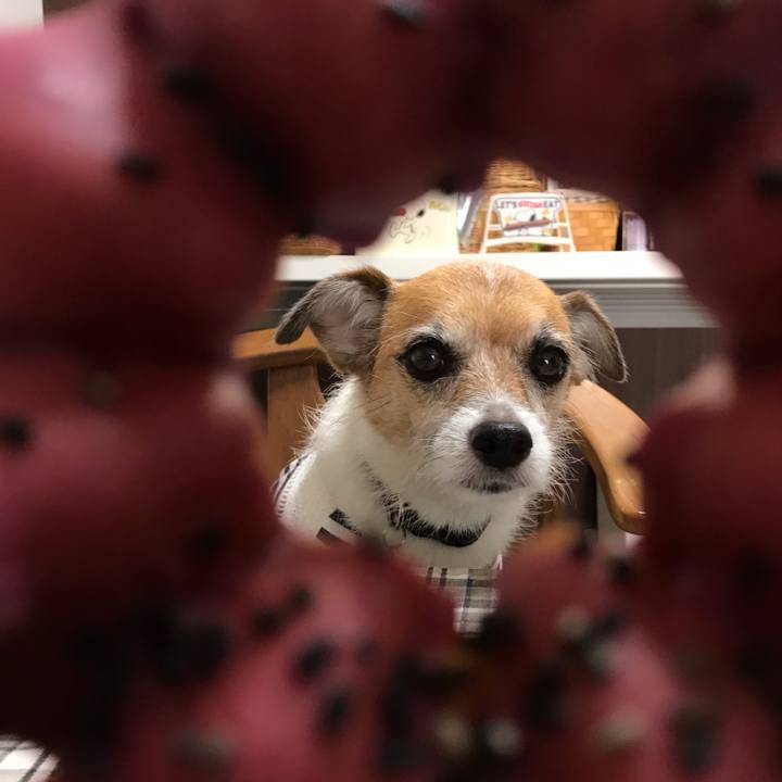 F43477ca 342d 4e66 9f9d 16bc5a872e0a 1568952121567