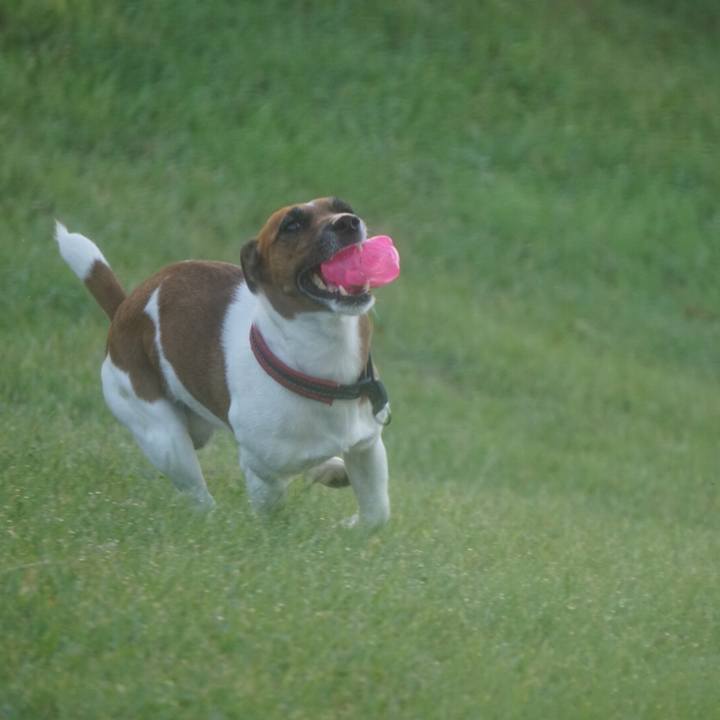 F4348726 8b03 418b b634 42fe9ce8b9be 1538434525855