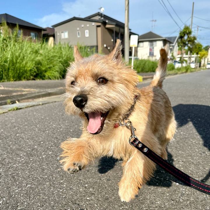 F43502c6 679d 4324 815e c485b039f7f7 1715735215380