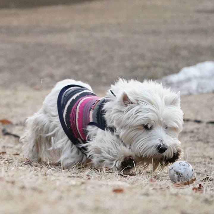 F435262a 2a48 4b6b a11c b8c93678cde7 1517411732328