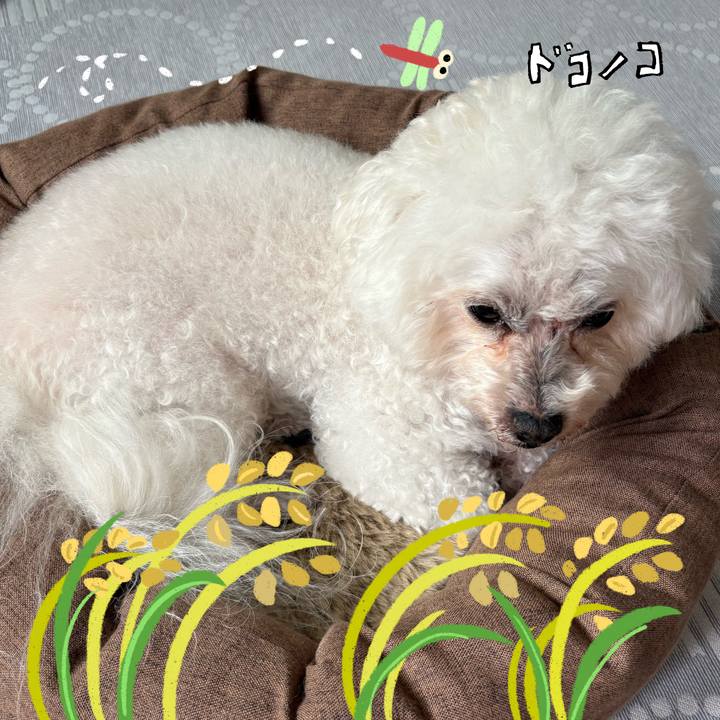 F4352e77 f680 4686 93bf 21d24f6e075f 1761951634934