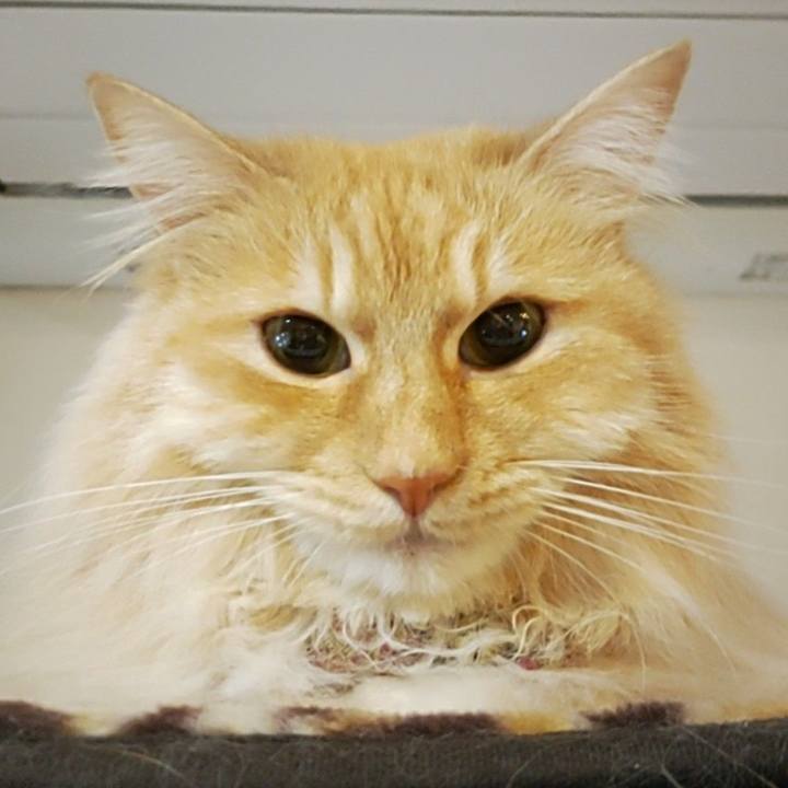 F4352f6a 66b6 4195 9d1d fb129fadb635 1684103246461