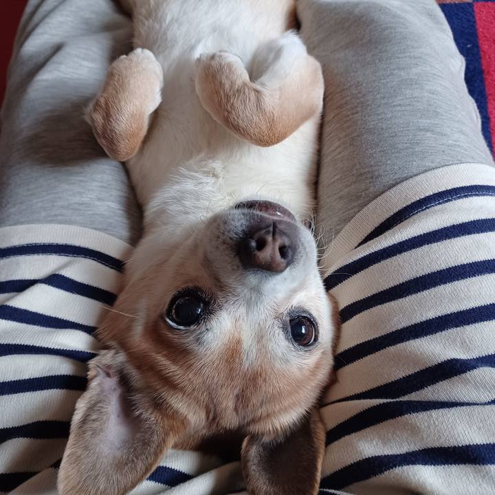 F4353587 aecb 4c6d 844d 911121a5e009 1772934784094