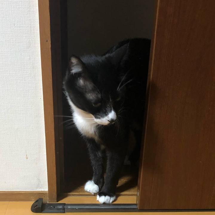 F4353a06 8c79 47ad 9903 22a402fde246 1662521911869