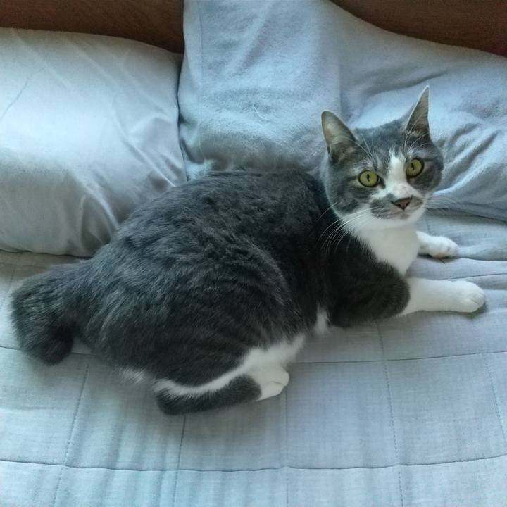 F4354d34 87a2 4559 952e 9c7b98a61354 1606521903819