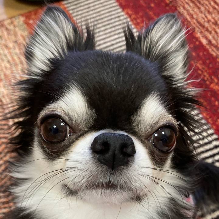 F435613f a4d3 4465 9a5d 04bf78946f8b 1677970745397