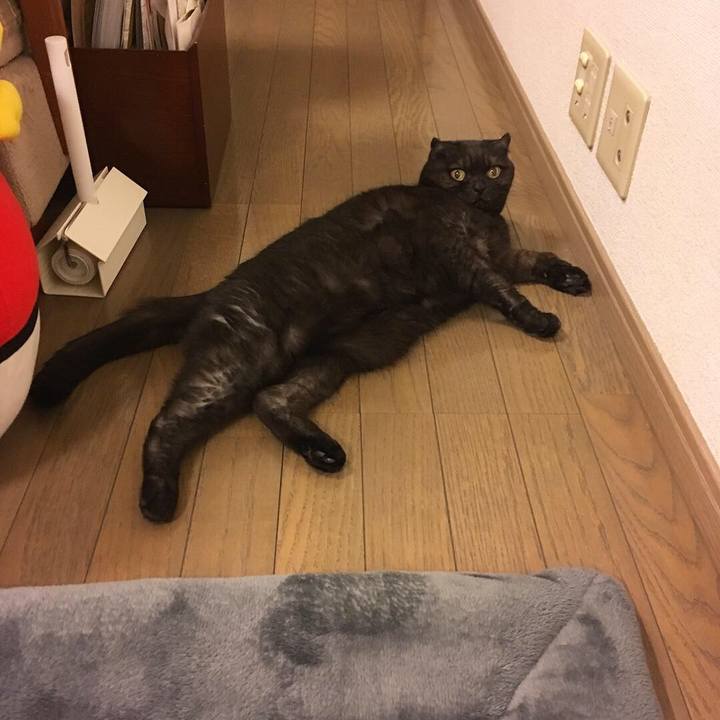 F4356232 3aa2 45a7 bdc2 c584d8267be9 1546104485712