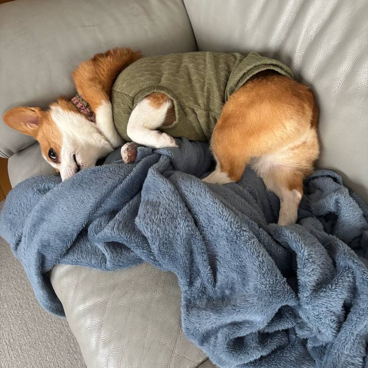 F4356fea 7d2b 421e 88c7 c3cbf59dbcde 1764052669805