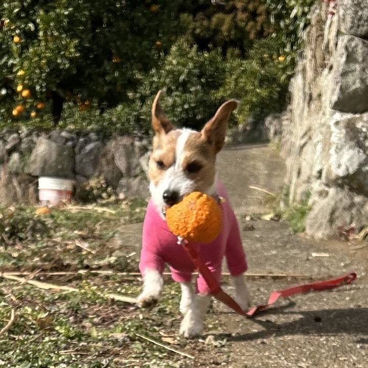 F4359d6f 4ea6 4ebc 8112 0f244db6a6a1 1768877909513