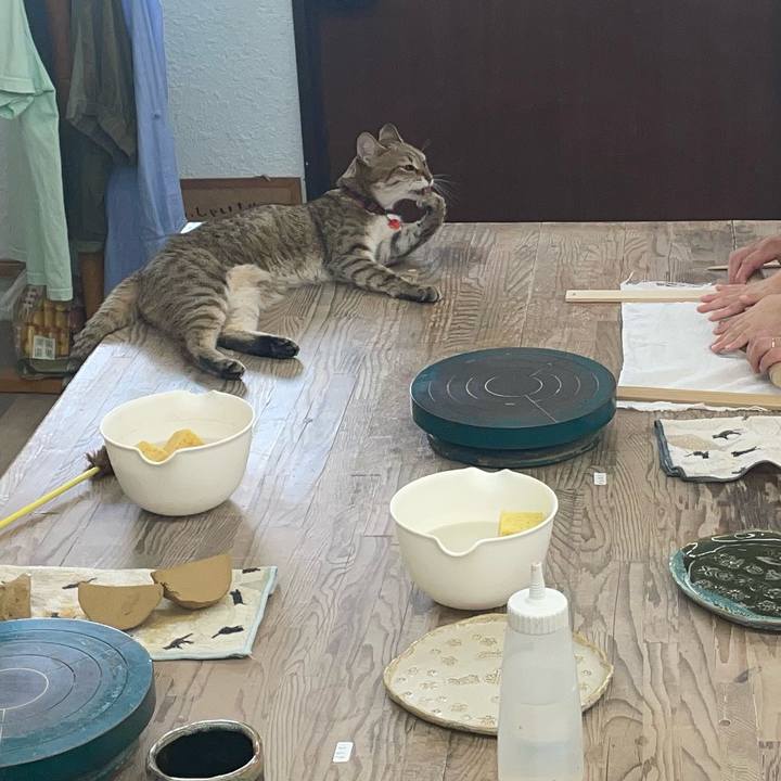 F435ae5b 6865 4587 ba23 8739cb859b22 1722919617149