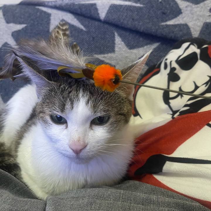 F435e887 a17c 439c 9fde 93a216fce22f 1627294821193