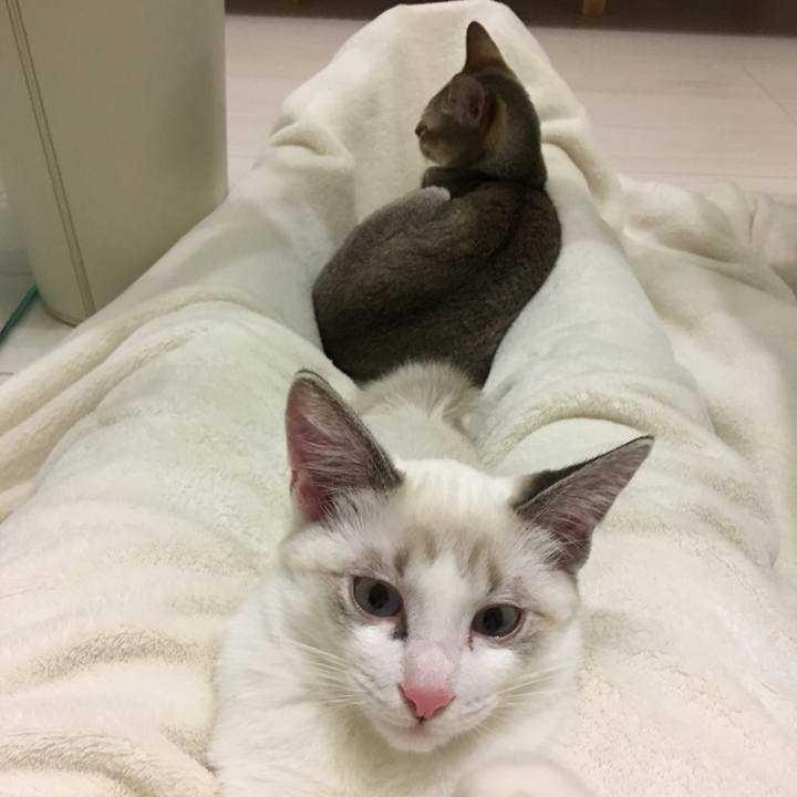 F435f5c2 def1 4af4 b592 62c6518c88bf 1511024951149