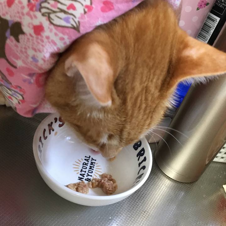 F435ff8c 25ea 4ee4 8954 6fd838bdae00 1529757927235