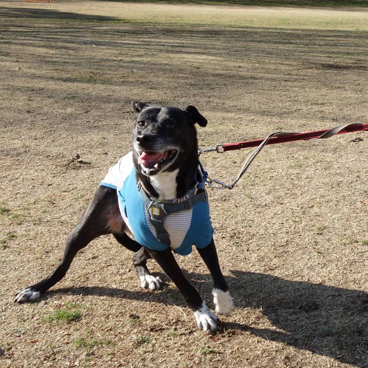 F43633fa 4cb5 4d06 a9ee 8033348b84e1 1742605189080