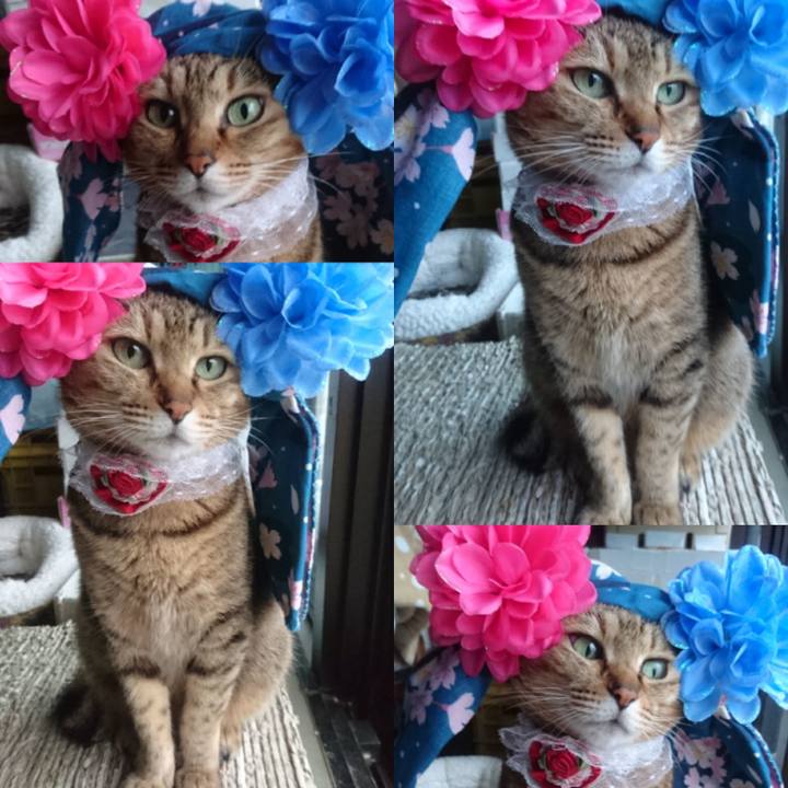 F4365165 aa71 4660 8b60 25f2fb0cf688 1758841977352