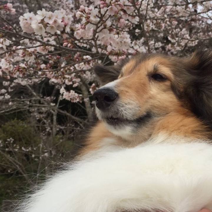 F4366230 e4f4 4e3e b1e3 4b714c025a29 1554102925512