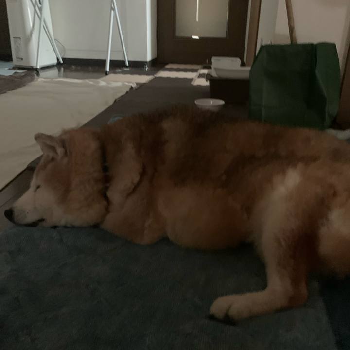 F4366c38 b966 49ad acde d66fe7505922 1688875393559