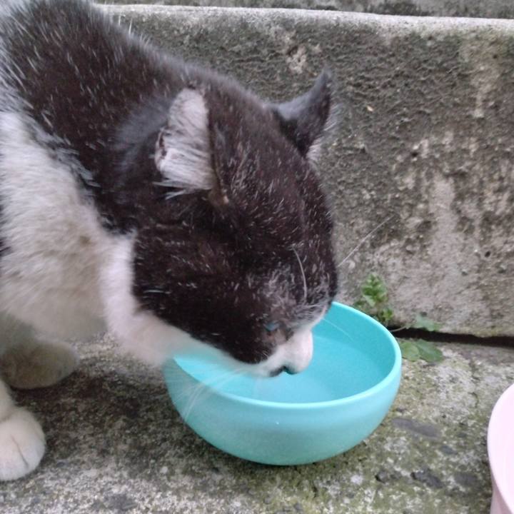 F4369849 e037 45e3 94c5 02bc1209adfd 1703749888166