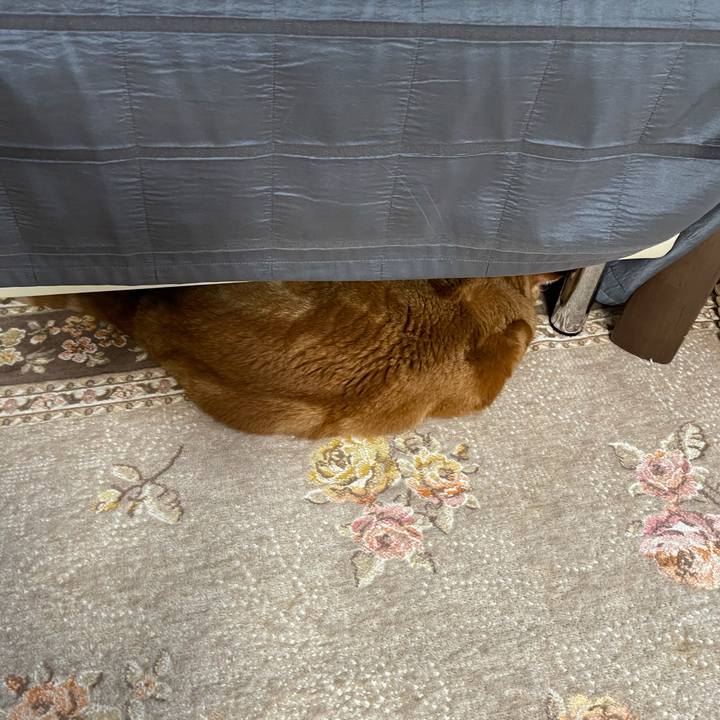 F436c322 11d2 4dd0 b0b7 283ed19f1b20 1631433093682