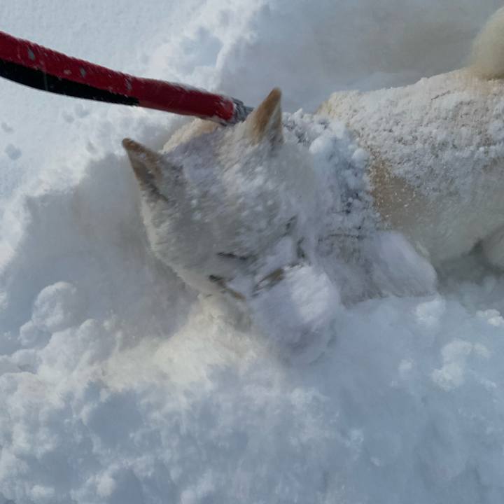 F436ec30 7ab3 4729 b0a3 ce9fa066d449 1673303800051