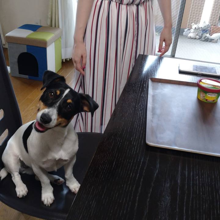 F436f537 4261 408d 83bc 0232c94f7cc3 1562426248139