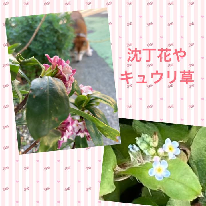 F43708d4 7262 4a05 b0a5 ecc87506886a 1709538811899