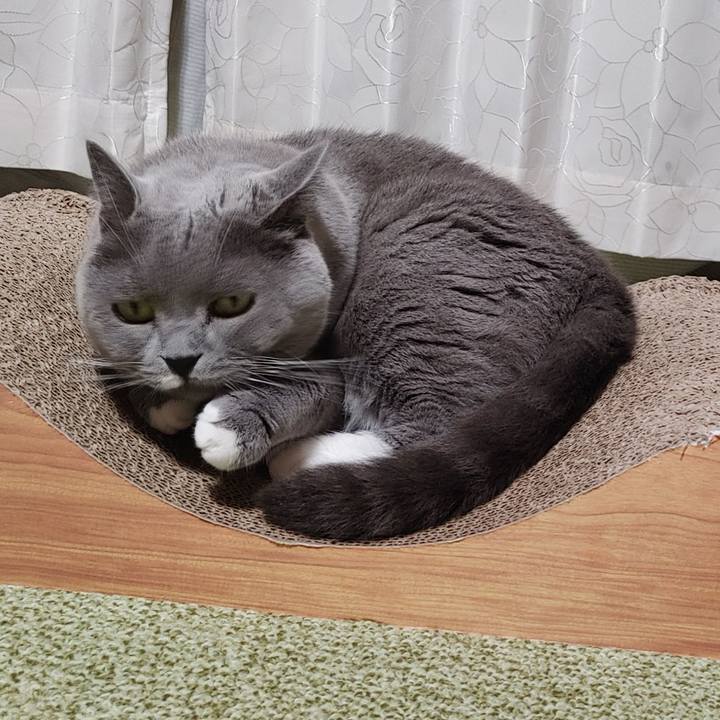 F43725da 19b1 493c 9232 b2738933712f 1656235924291