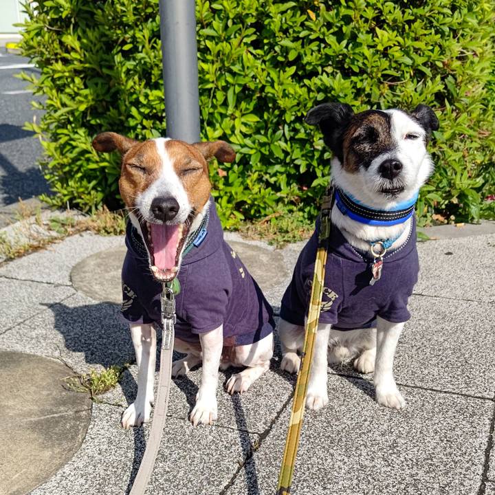 F4378253 ae50 4d6e b7e3 1cdd17b026eb 1683587535593