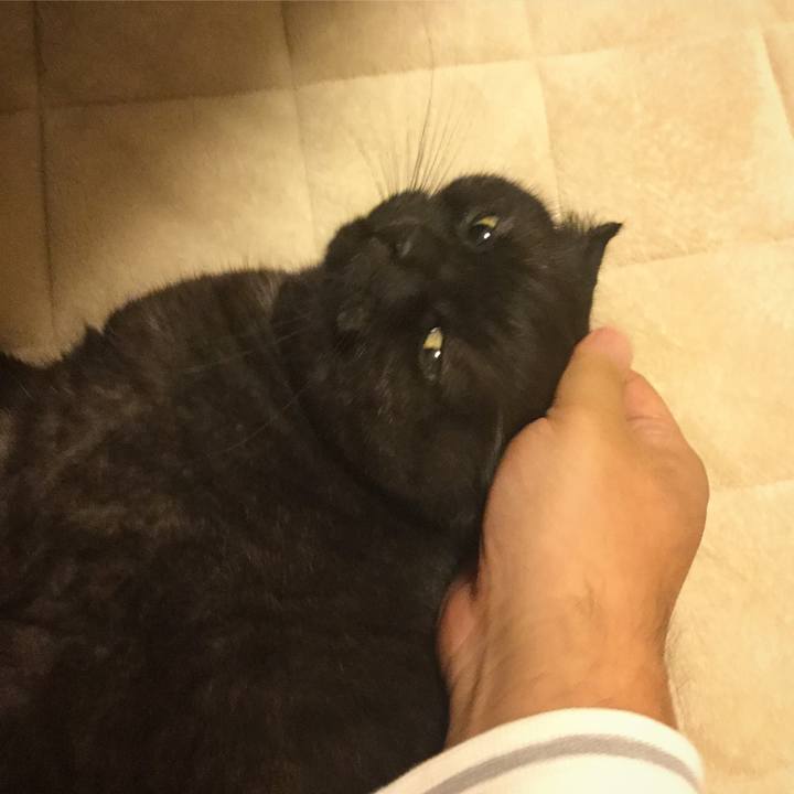 F437e2ad ddc4 456c b29a 3ca9cbcc2165 1508895278913