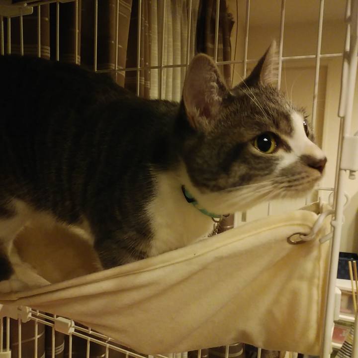 F437ecaf c92e 4c30 946d 61a60d44562d 1578324234070