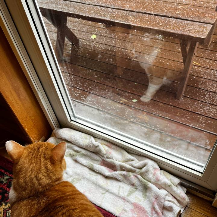 F4381e6c 3394 4973 833b cf7f7087a638 1729387658492