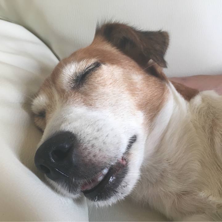 F43833ef eca3 435c b617 9eb100c7ca65 1540728207964