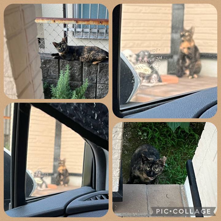 F43848db 4b5c 42a0 8566 9d55186aaf13 1660083741987