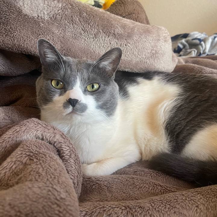 F438670f 0ebc 42dc a618 ecc87eb5fe65 1711496586862