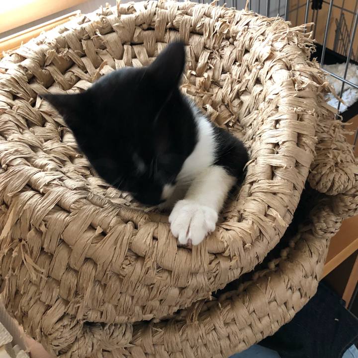 F4389b8f c716 4580 be99 cff99d45b157 1531483596982