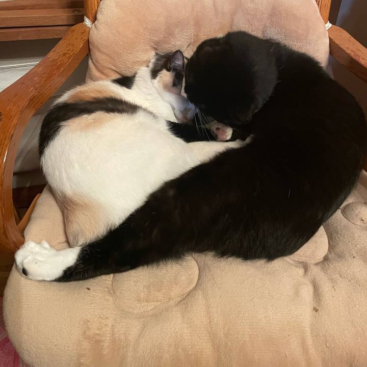 F438c274 9477 428d a358 f1f2df85a7a4 1683633205604