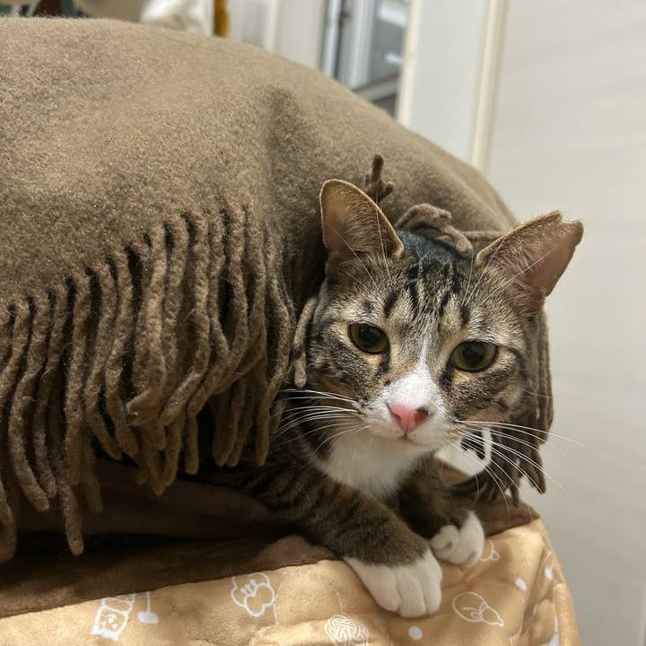 F43906d5 163f 4264 80f7 4dedd0a96e93 1770338791685