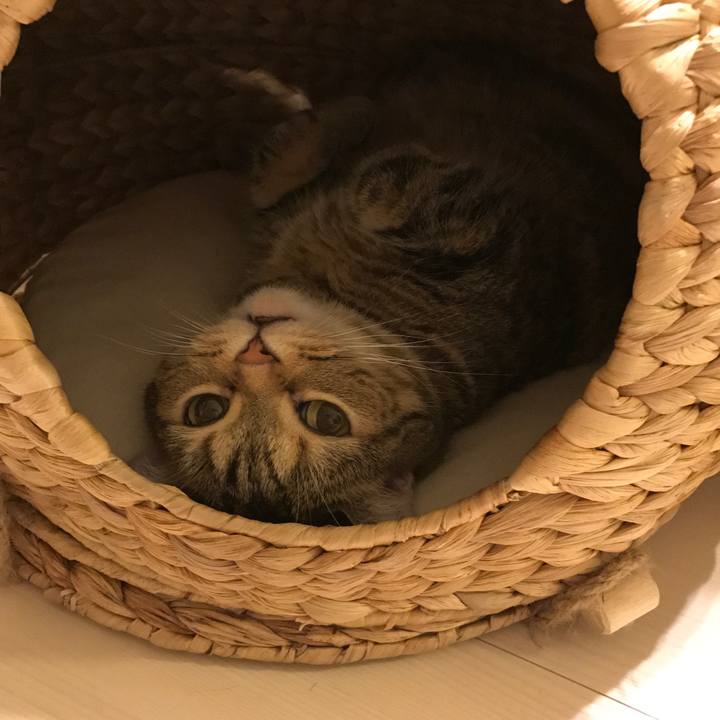 F4391cd6 08e9 4278 ae81 68ca9b893d2b 1536932840558