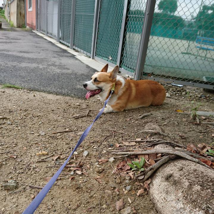 F43920c5 c89d 43b6 b72e 7ad8c5c8c663 1599967740151