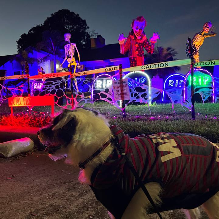 F4396b67 1a41 4983 82e5 e08f0bbc93ea 1666735195468