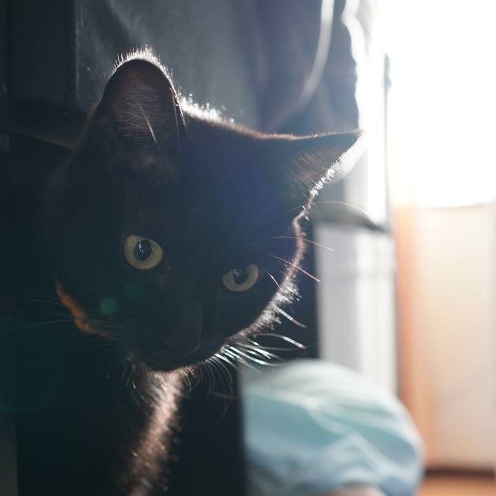 F4396e34 867e 4de4 8a6f 4a2d49b41a5f 1615206676586