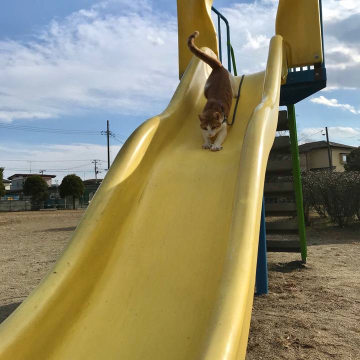 F43977ca 5dc1 49ea 8ed7 9d00da35baf4 1511692819717