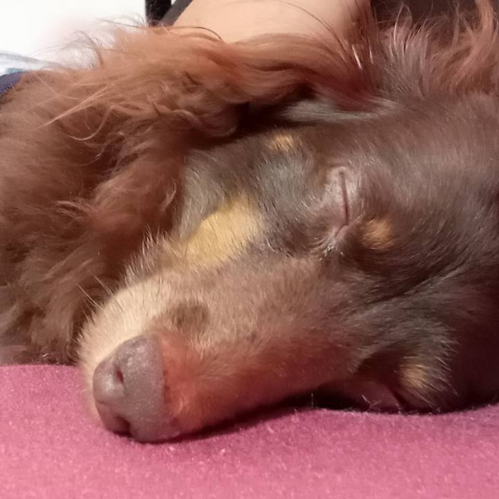 F439a10a 37d4 4fd5 9972 9e2b4d353c54 1756071650636