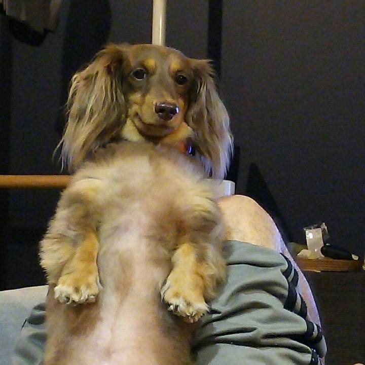 F439ad7d 9458 4727 802a f5353ef0147e 1536328984088