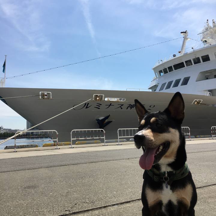 F439dd2d 7081 4753 8123 a1310517f870 1529203183183