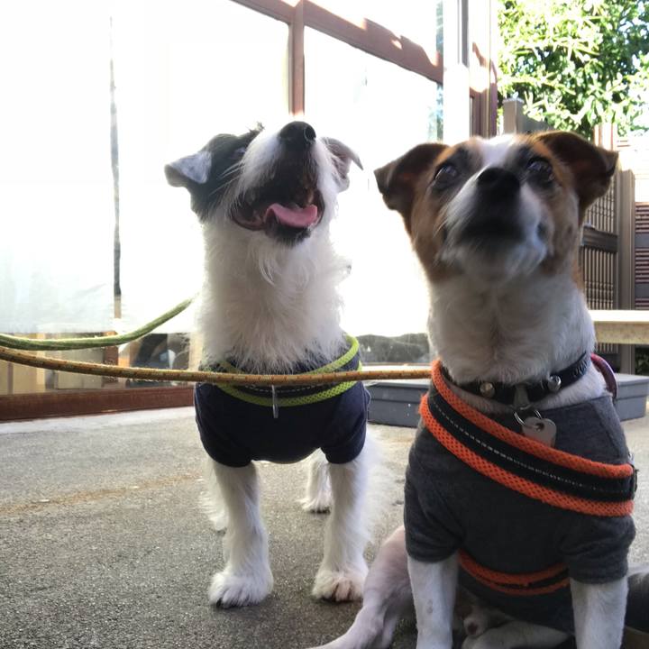 F439f6d9 0d34 430e af8d dacdb1dccbe6 1538806390510