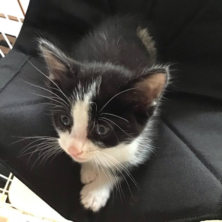 F43a14e7 ccb0 4d00 97ed 50ff6a22157d 1622788018849