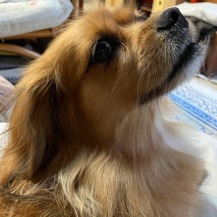 F43a2f32 4ac5 4657 8ef4 cc1ae7c04dfc 1633556142649