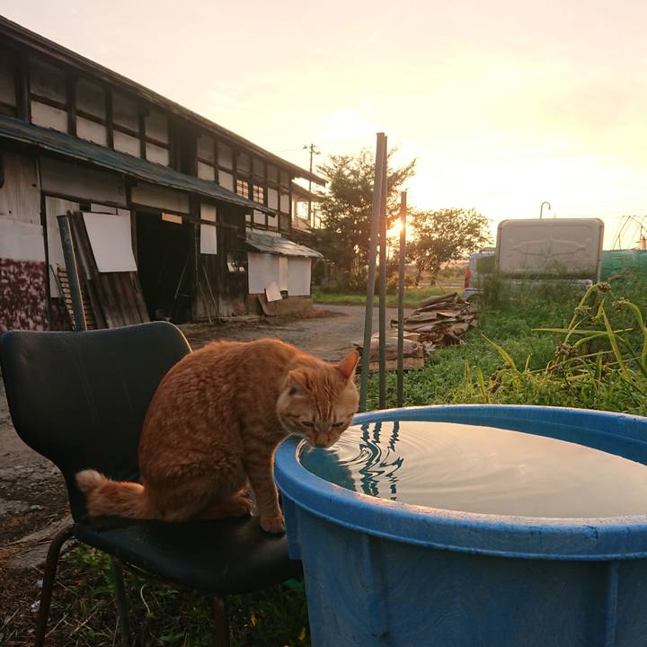 F43a57fd be9a 47e6 b128 69e8d3e8a21e 1659817739927