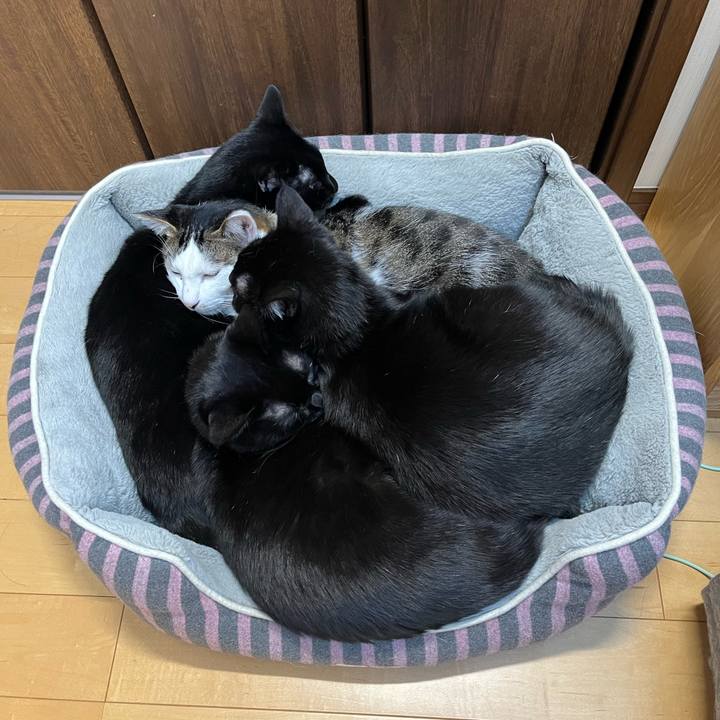 F43a66df 0488 48cb 8707 a9aba2b6620c 1737591755848